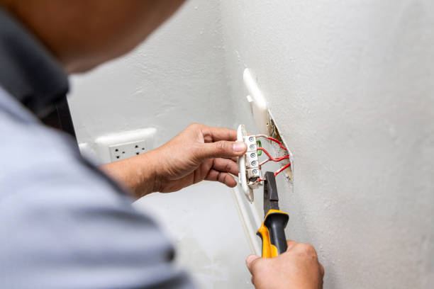 Best Electric Panel Repair  in Brodheadsville, PA